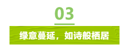 全年输尽光资料大全