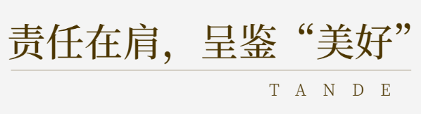 全年输尽光资料大全