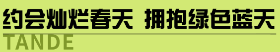 全年输尽光资料大全