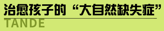 全年输尽光资料大全